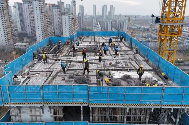 1735782427782443.jpg 24.jpg